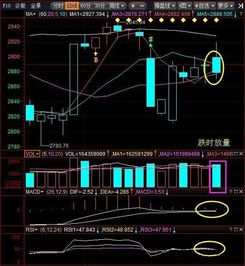 能源市场风云变幻，近期走势深度剖析